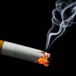 Perturbateurs endocriniens (hormonaux) et la fumée de la cigarette/Endocrine disruptors (hormones) and cigarette smoke